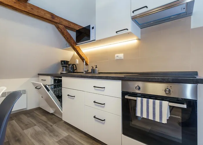 Apartment Horsky Temari 15 Klinovec